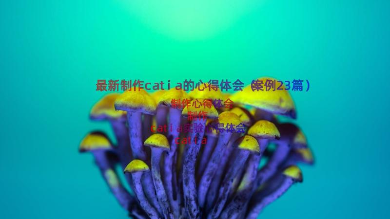 最新制作catia的心得体会（案例23篇）