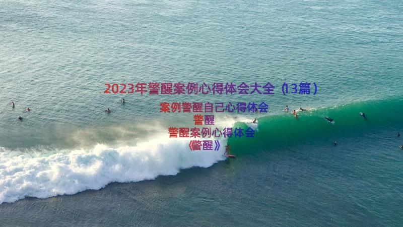 2023年警醒案例心得体会大全（13篇）