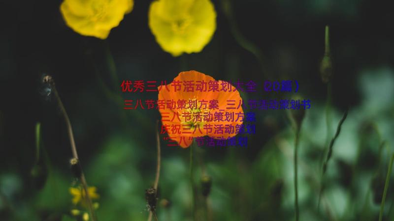 优秀三八节活动策划大全（20篇）