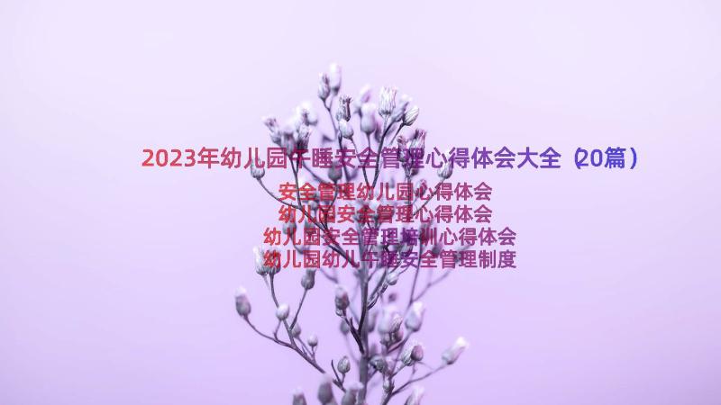 2023年幼儿园午睡安全管理心得体会大全（20篇）