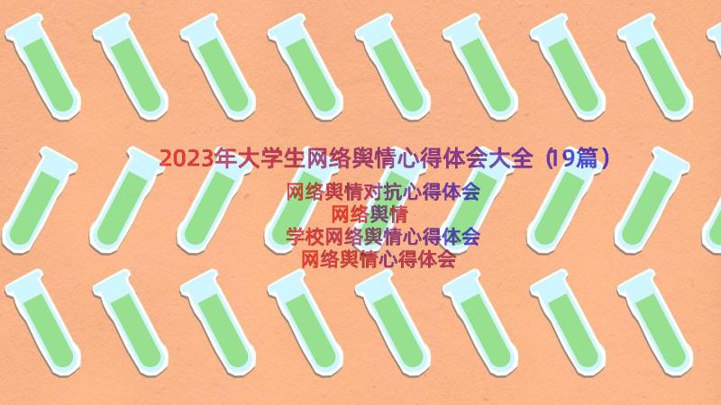 2023年大学生网络舆情心得体会大全（19篇）