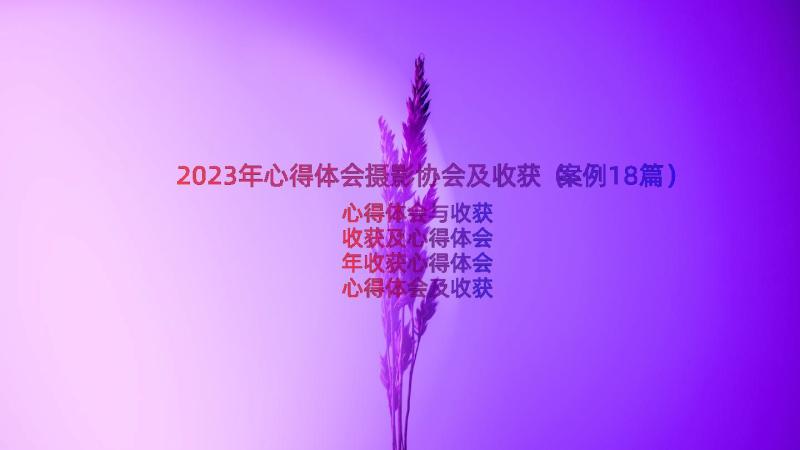 2023年心得体会摄影协会及收获（案例18篇）