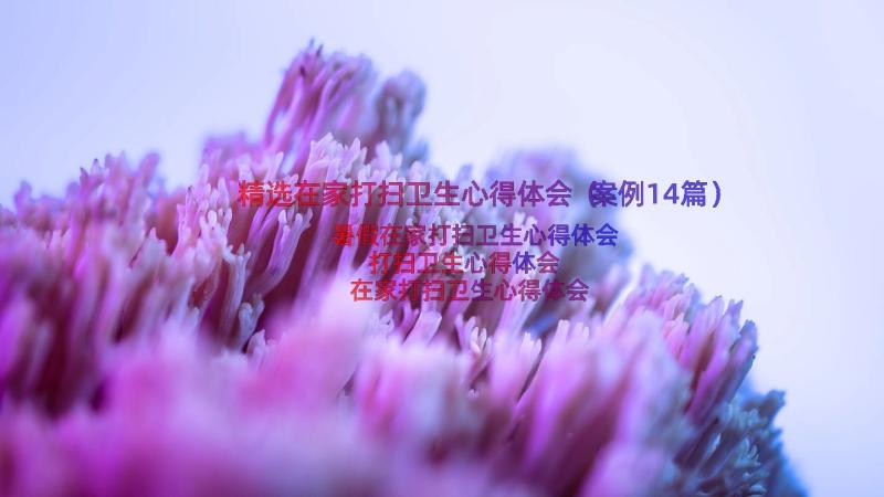 精选在家打扫卫生心得体会（案例14篇）