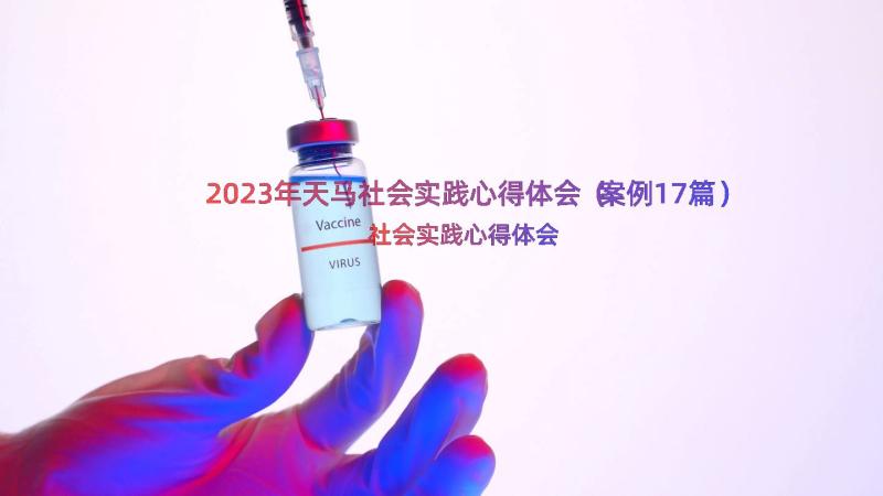 2023年天马社会实践心得体会（案例17篇）