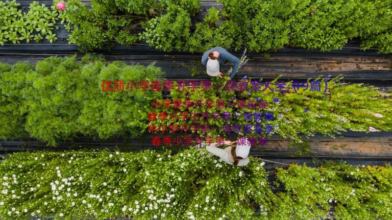 优质小学春季开学第一课教案大全（19篇）