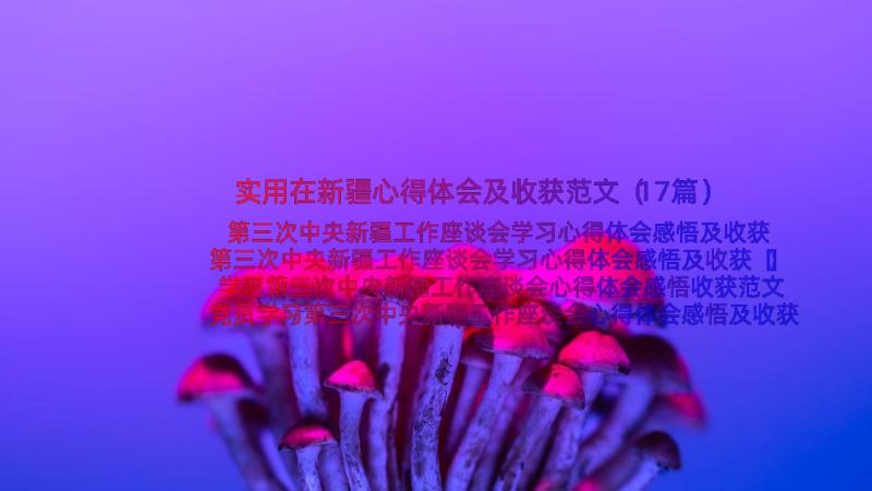 实用在新疆心得体会及收获范文（17篇）