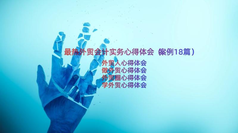 最热外贸会计实务心得体会（案例18篇）