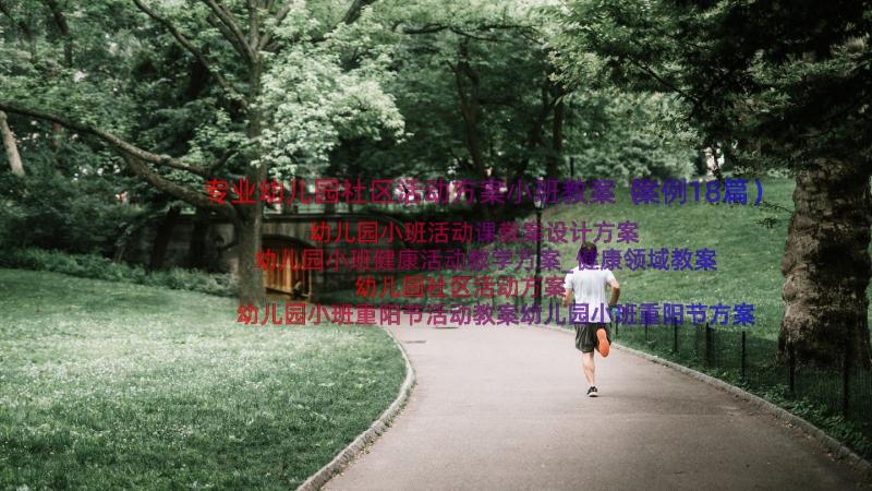 专业幼儿园社区活动方案小班教案（案例18篇）