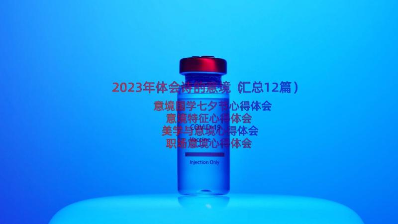 2023年体会诗的意境（汇总12篇）