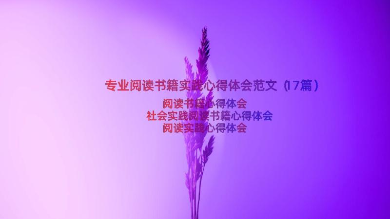 专业阅读书籍实践心得体会范文（17篇）