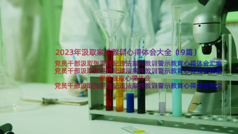 2023年汲取案件教训心得体会大全（19篇）