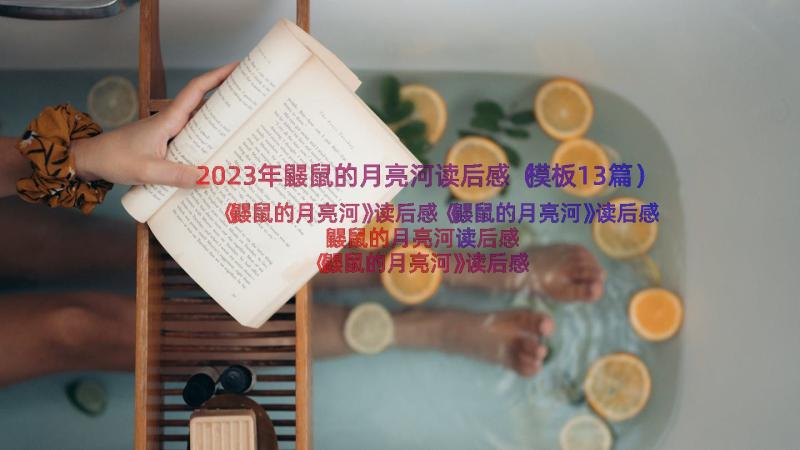 2023年鼹鼠的月亮河读后感（模板13篇）