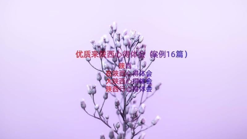 优质来陕西心得体会（案例16篇）