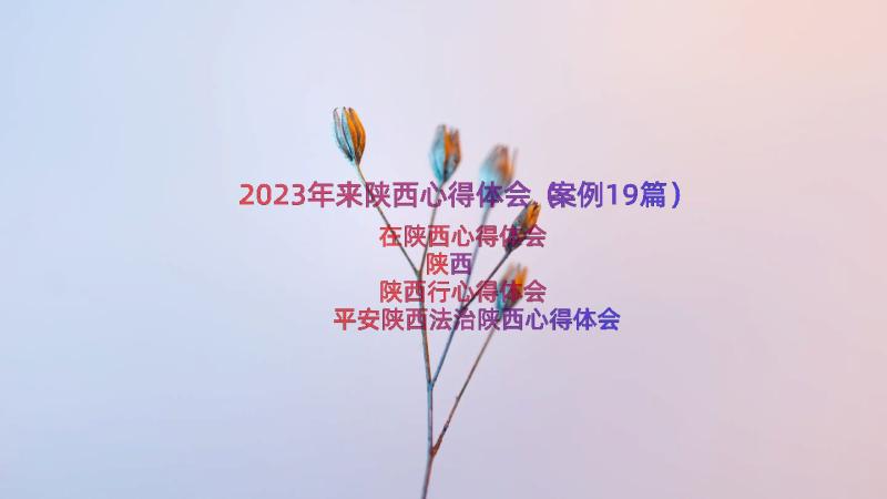 2023年来陕西心得体会（案例19篇）