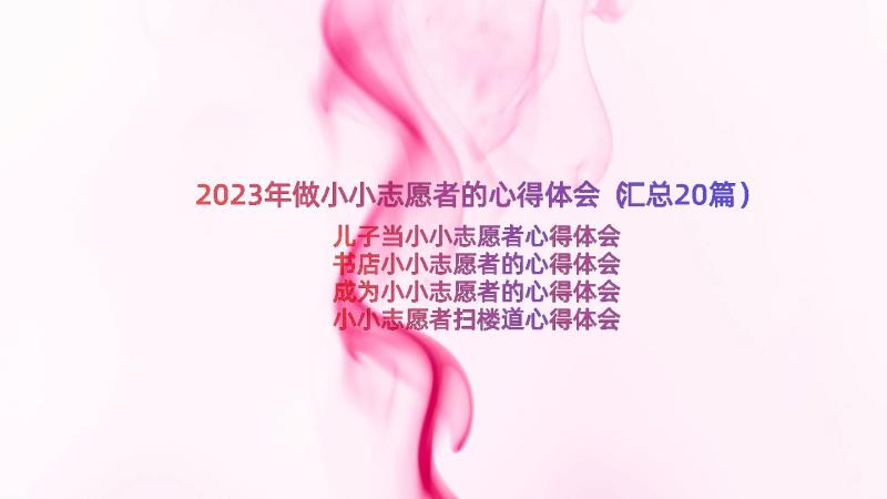 2023年做小小志愿者的心得体会（汇总20篇）