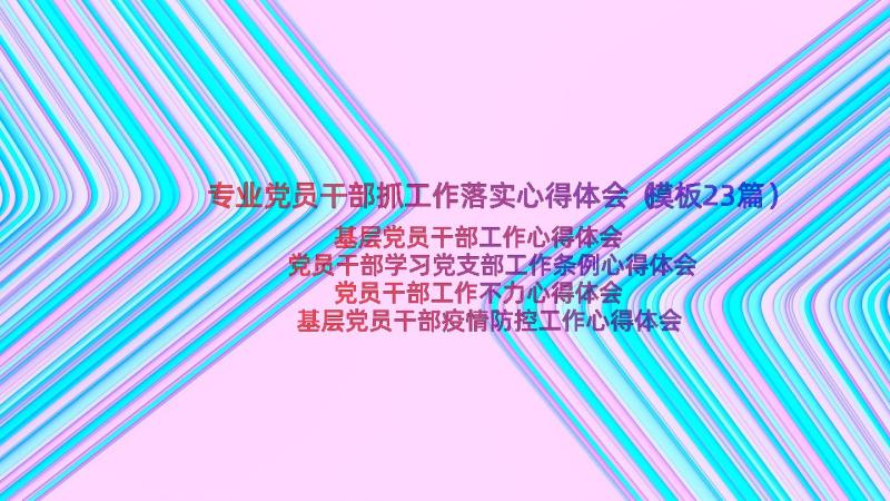 专业党员干部抓工作落实心得体会（模板23篇）