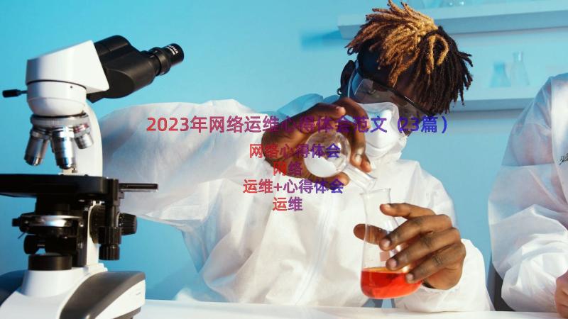 2023年网络运维心得体会范文（23篇）