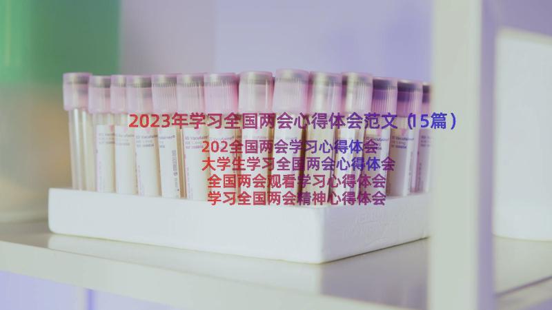 2023年学习全国两会心得体会范文（15篇）