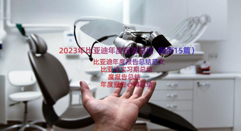 2023年比亚迪年度报告总结（案例15篇）