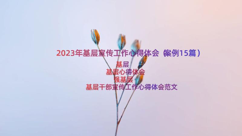 2023年基层宣传工作心得体会（案例15篇）