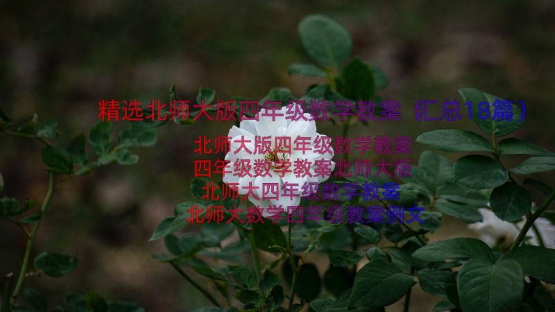 精选北师大版四年级数学教案（汇总18篇）