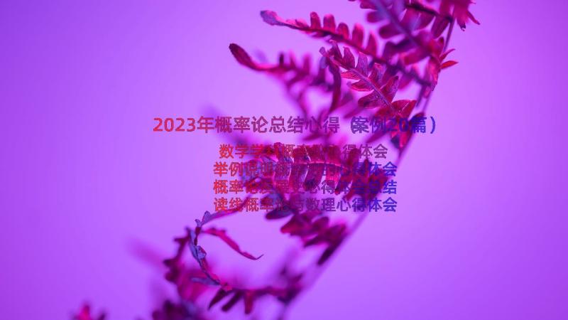 2023年概率论总结心得（案例20篇）