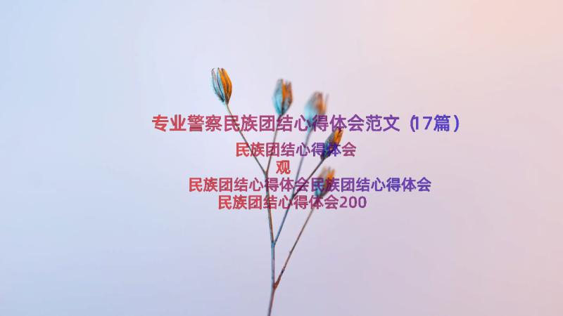 专业警察民族团结心得体会范文（17篇）