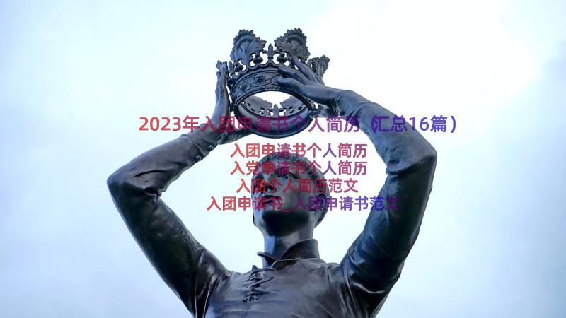 2023年入团申请书个人简历（汇总16篇）