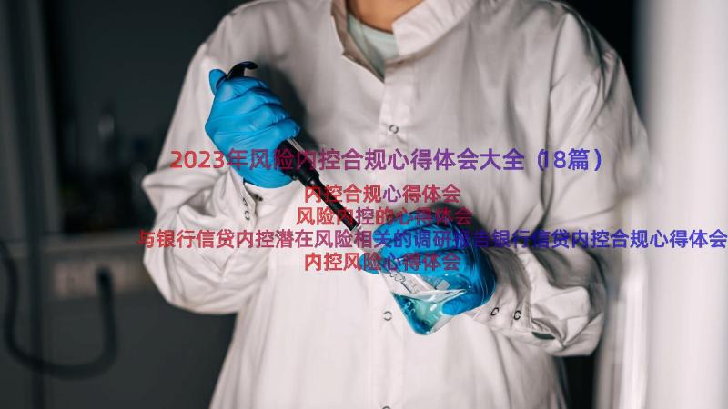 2023年风险内控合规心得体会大全（18篇）