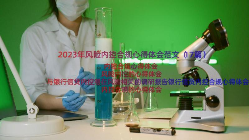 2023年风险内控合规心得体会范文（17篇）