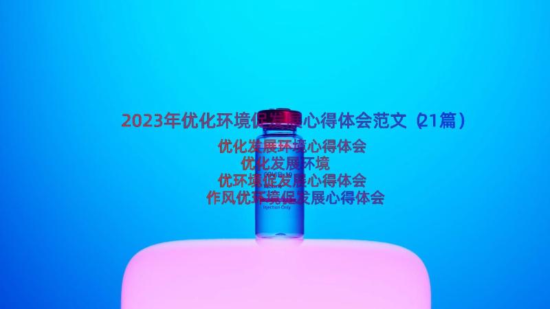 2023年优化环境促发展心得体会范文（21篇）