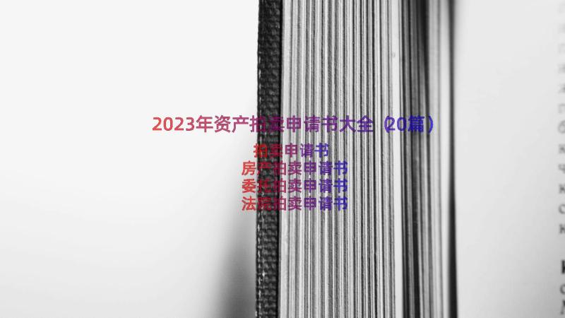 2023年资产拍卖申请书大全（20篇）