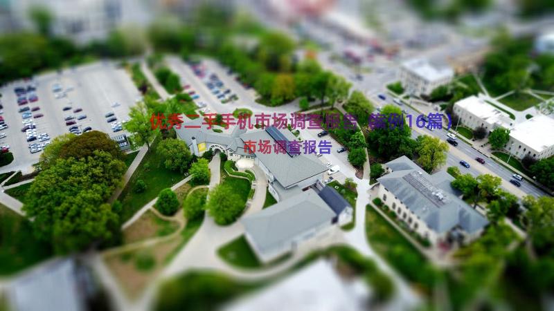 优秀二手手机市场调查报告（案例16篇）