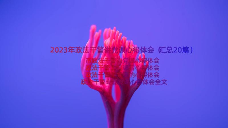 2023年政法干警讲党课心得体会（汇总20篇）