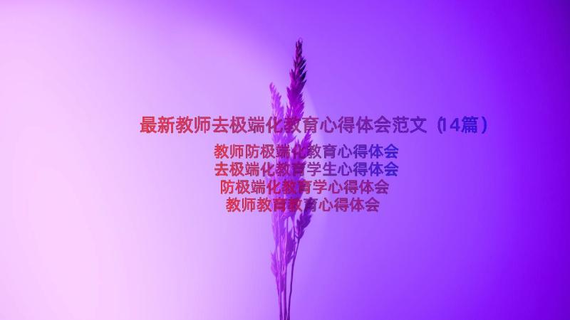 最新教师去极端化教育心得体会范文（14篇）