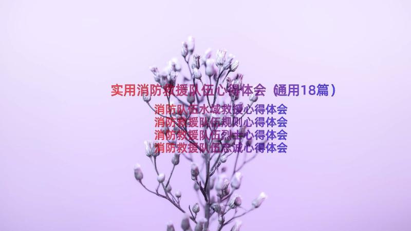 实用消防救援队伍心得体会（通用18篇）