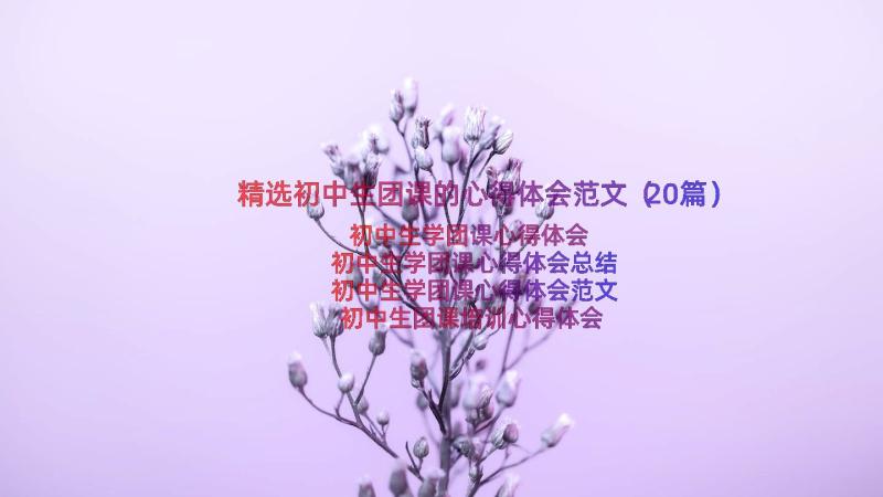 精选初中生团课的心得体会范文（20篇）