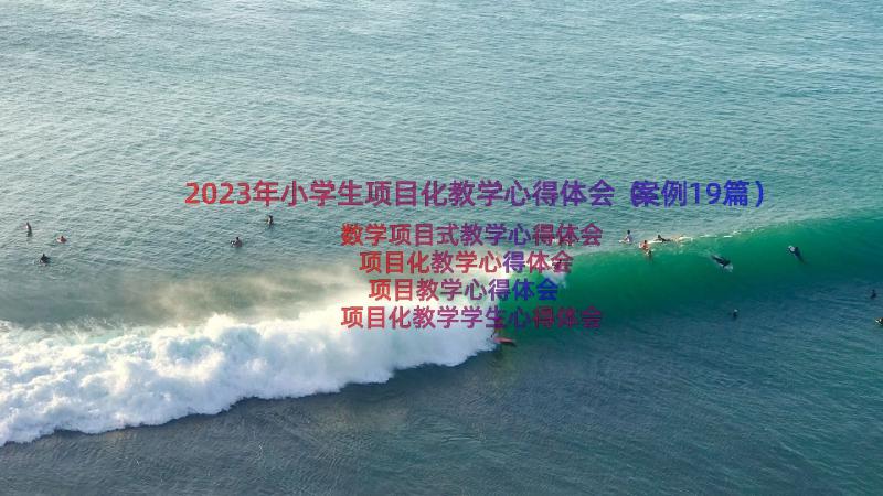 2023年小学生项目化教学心得体会（案例19篇）