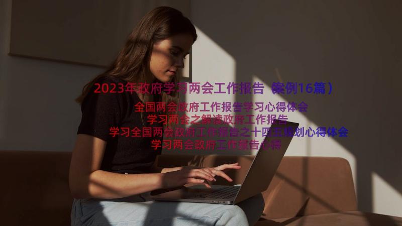 2023年政府学习两会工作报告（案例16篇）