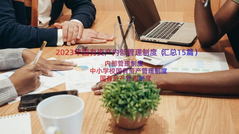 2023年国有资产内部管理制度（汇总15篇）