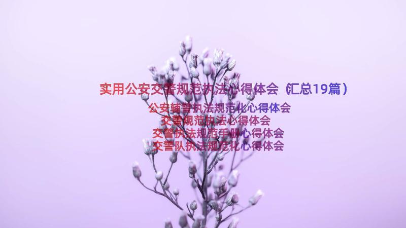 实用公安交警规范执法心得体会（汇总19篇）