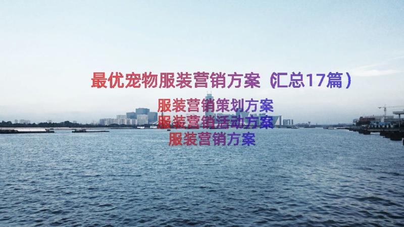 最优宠物服装营销方案（汇总17篇）