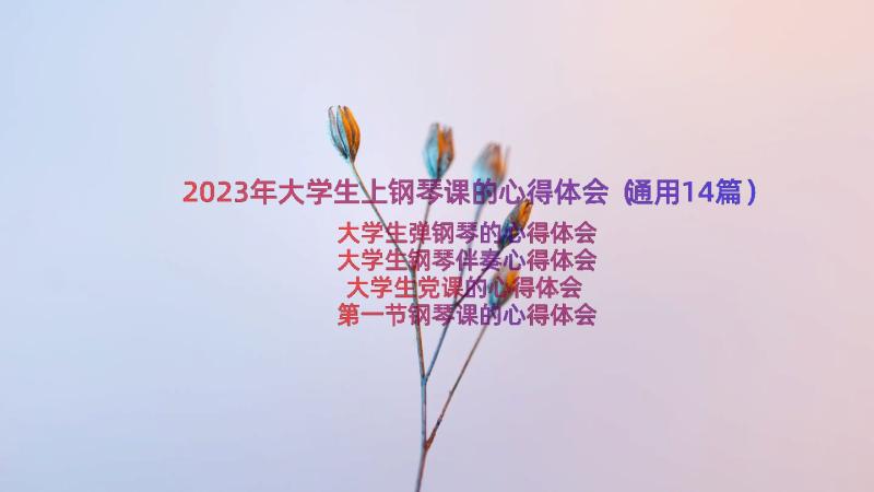 2023年大学生上钢琴课的心得体会（通用14篇）