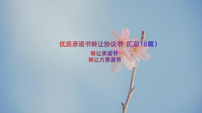 优质承诺书转让协议书（汇总18篇）