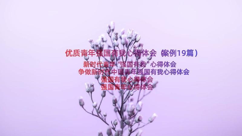 优质青年强国有我心得体会（案例19篇）