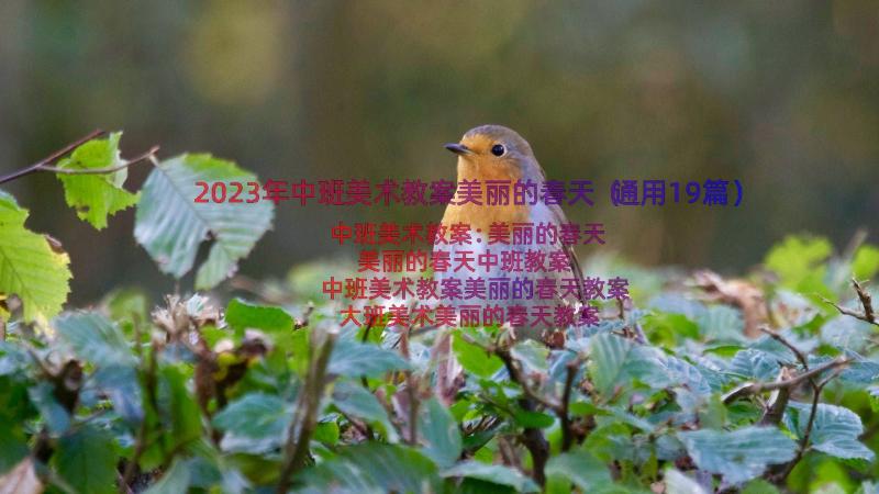 2023年中班美术教案美丽的春天（通用19篇）