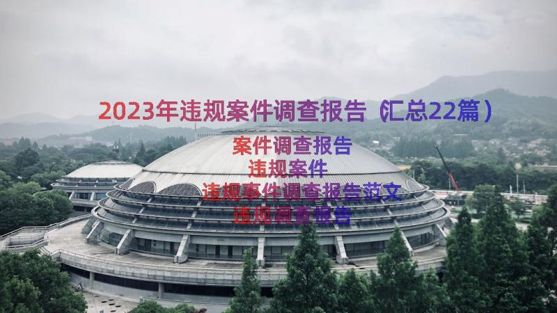 2023年违规案件调查报告（汇总22篇）