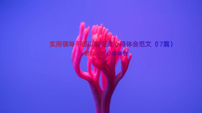 实用领导干部以案促改心得体会范文（17篇）