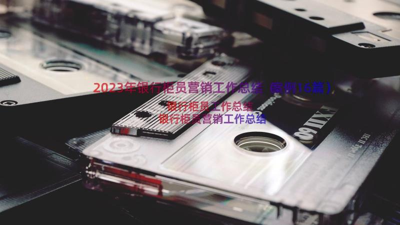 2023年银行柜员营销工作总结（案例16篇）