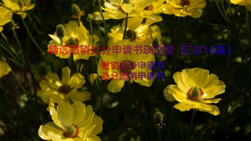 精选撤销处分申请书谈恋爱（汇总16篇）